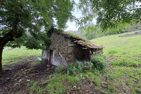 Herregård i Aller, Asturias, Aller - € 30 000 | Ref: QPE00408/10606 - foto 18
