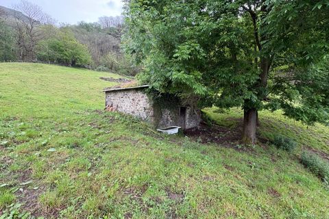 Herregård i Aller, Asturias, Aller - € 30 000 | Ref: QPE00408/10606 - foto 19