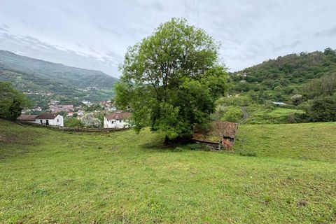 Herregård i Aller, Asturias, Aller - € 30 000 | Ref: QPE00408/10606 - foto 20