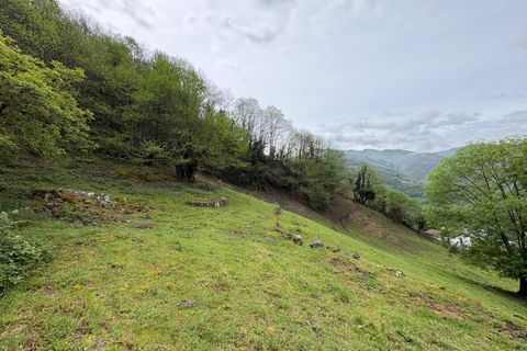 Herregård i Aller, Asturias, Aller - € 30 000 | Ref: QPE00408/10606 - foto 23