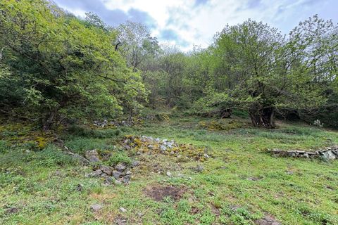 Herregård i Aller, Asturias, Aller - € 30 000 | Ref: QPE00408/10606 - foto 24