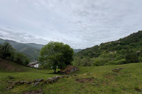 Herregård i Aller, Asturias, Aller - € 30 000 | Ref: QPE00408/10606 - foto 25