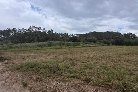 Tomt i Costitx, Mallorca, Costitx - € 240 000 | Ref: 2293 - foto 2