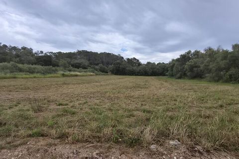 Tomt i Costitx, Mallorca, Costitx - € 240 000 | Ref: 2293 - foto 3