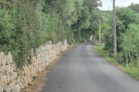 Tomt i Costitx, Mallorca, Costitx - € 240 000 | Ref: 2293 - foto 5