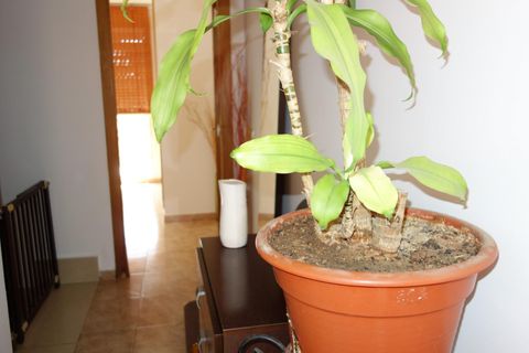 Rækkehus i Almazora, Castellon, Almazora - € 234.000 | Ref: EXP14313/8930 - foto 26
