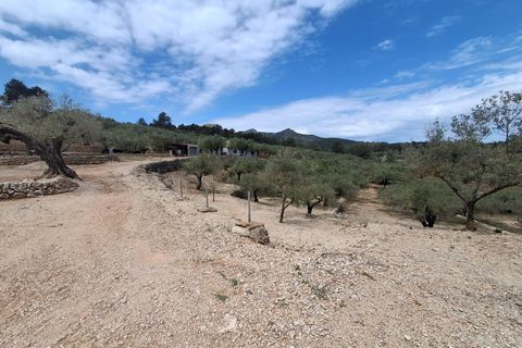 Helårsgrund i El Perello, Tarragona, El Perello - € 125.000 | Ref: EXP14338/8930 - foto 10