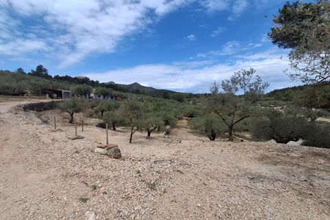 Helårsgrund i El Perello, Tarragona, El Perello - € 125.000 | Ref: EXP14338/8930 - foto 11