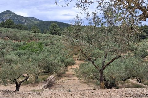 Helårsgrund i El Perello, Tarragona, El Perello - € 125.000 | Ref: EXP14338/8930 - foto 12
