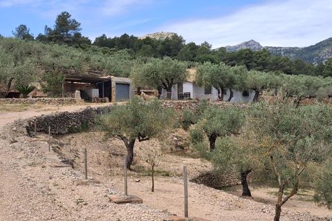 Helårsgrund i El Perello, Tarragona, El Perello - € 125.000 | Ref: EXP14338/8930 - foto 13