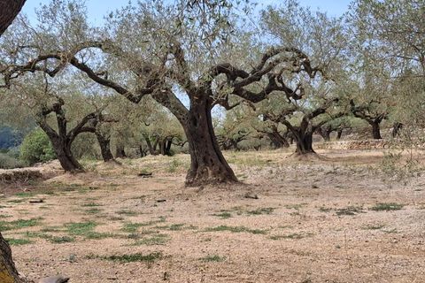 Helårsgrund i El Perello, Tarragona, El Perello - € 125.000 | Ref: EXP14338/8930 - foto 14