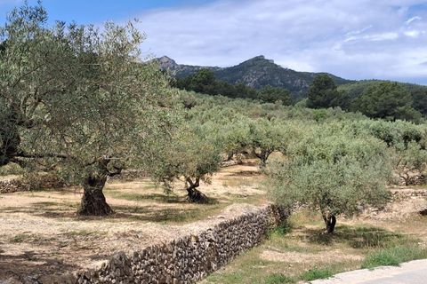 Helårsgrund i El Perello, Tarragona, El Perello - € 125.000 | Ref: EXP14338/8930 - foto 16