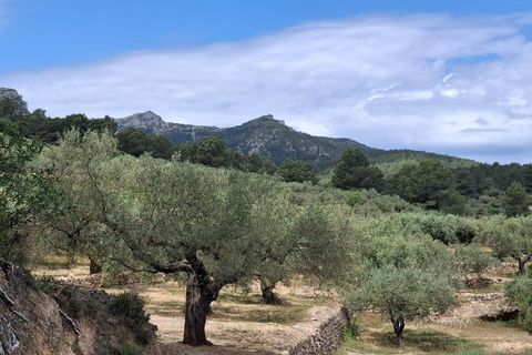 Helårsgrund i El Perello, Tarragona, El Perello - € 125.000 | Ref: EXP14338/8930 - foto 32