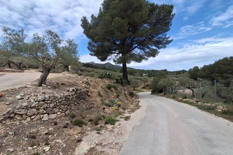 Helårsgrund i El Perello, Tarragona, El Perello - € 125.000 | Ref: EXP14338/8930 - foto 35