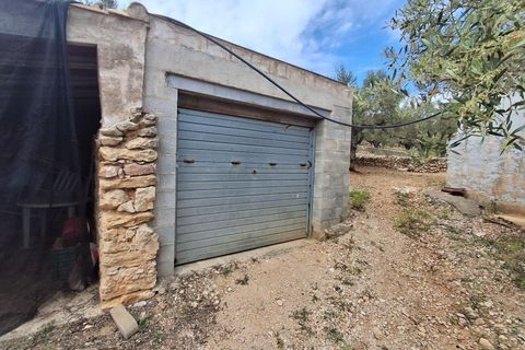 Helårsgrund i El Perello, Tarragona, El Perello - € 125.000 | Ref: EXP14338/8930 - foto 36