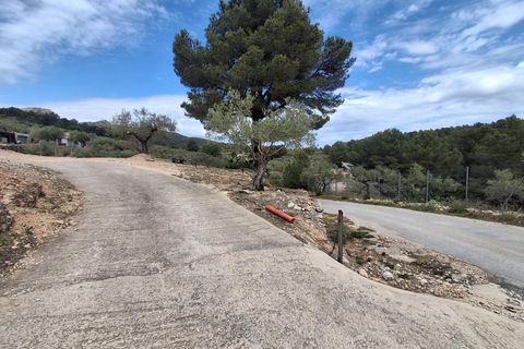 Helårsgrund i El Perello, Tarragona, El Perello - € 125.000 | Ref: EXP14338/8930 - foto 37