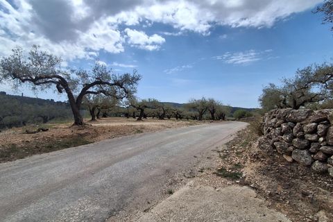 Helårsgrund i El Perello, Tarragona, El Perello - € 125.000 | Ref: EXP14338/8930 - foto 38