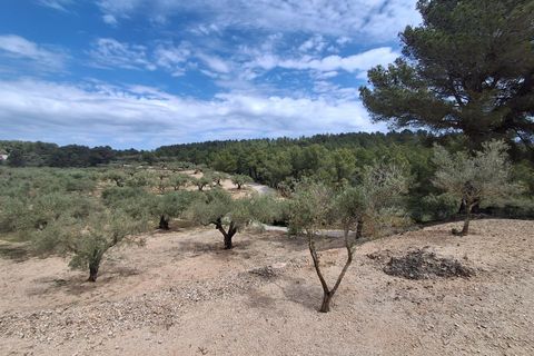 Helårsgrund i El Perello, Tarragona, El Perello - € 125.000 | Ref: EXP14338/8930 - foto 39