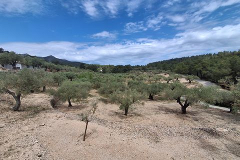 Helårsgrund i El Perello, Tarragona, El Perello - € 125.000 | Ref: EXP14338/8930 - foto 40