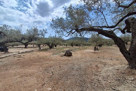 Helårsgrund i El Perello, Tarragona, El Perello - € 125.000 | Ref: EXP14338/8930 - foto 41