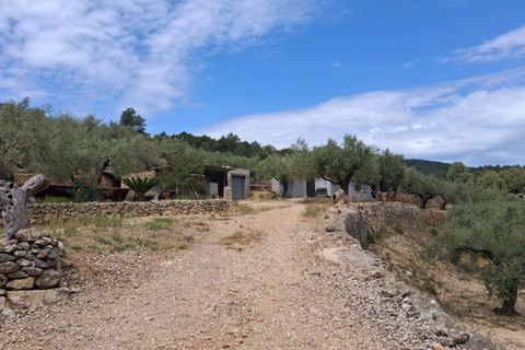 Helårsgrund i El Perello, Tarragona, El Perello - € 125.000 | Ref: EXP14338/8930 - foto 42