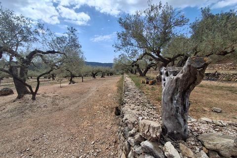 Helårsgrund i El Perello, Tarragona, El Perello - € 125.000 | Ref: EXP14338/8930 - foto 43
