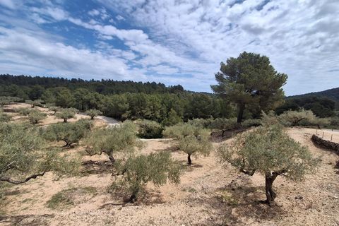 Helårsgrund i El Perello, Tarragona, El Perello - € 125.000 | Ref: EXP14338/8930 - foto 44