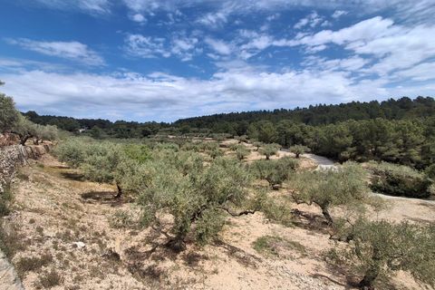 Helårsgrund i El Perello, Tarragona, El Perello - € 125.000 | Ref: EXP14338/8930 - foto 45