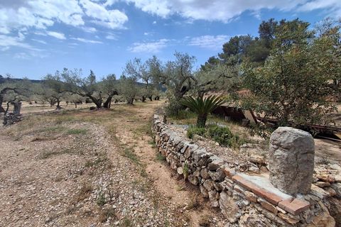 Helårsgrund i El Perello, Tarragona, El Perello - € 125.000 | Ref: EXP14338/8930 - foto 46