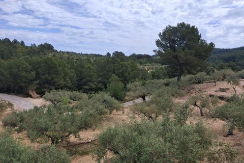 Helårsgrund i El Perello, Tarragona, El Perello - € 125.000 | Ref: EXP14338/8930 - foto 47