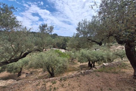 Helårsgrund i El Perello, Tarragona, El Perello - € 125.000 | Ref: EXP14338/8930 - foto 48