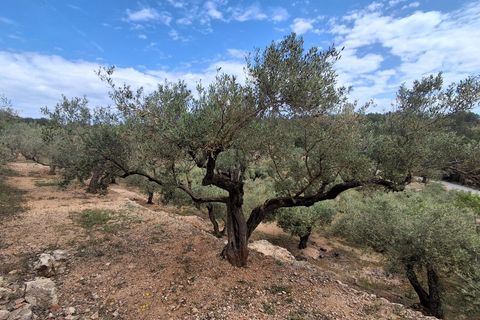 Helårsgrund i El Perello, Tarragona, El Perello - € 125.000 | Ref: EXP14338/8930 - foto 49