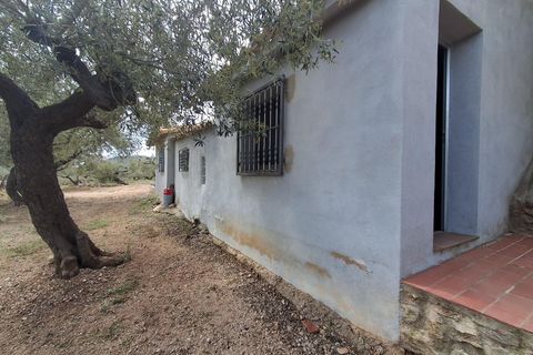 Helårsgrund i El Perello, Tarragona, El Perello - € 125.000 | Ref: EXP14338/8930 - foto 50