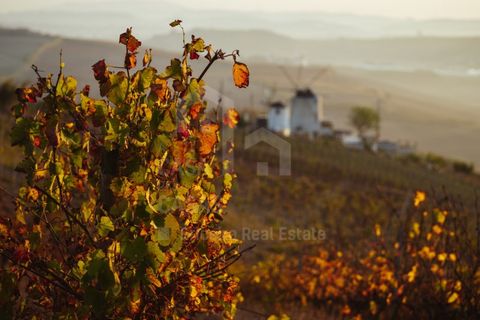 Villa a Mafra, Lisbon, Mafra - € 700.000 | Ref: V26126.4 - foto 17