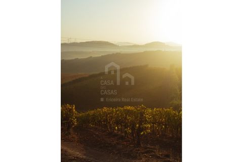Villa a Mafra, Lisbon, Mafra - € 700.000 | Ref: V26126.4 - foto 16