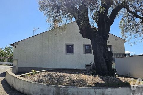 Byhus i Alvaiazere, Leiria, Alvaiazere - € 399.500 | Ref: 879242 - foto 19