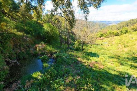 Byhus i Alvaiazere, Leiria, Alvaiazere - € 399.500 | Ref: 879242 - foto 31