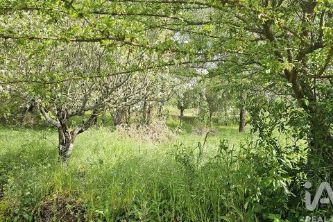 Byhus i Alvaiazere, Leiria, Alvaiazere - € 399.500 | Ref: 879242 - foto 32