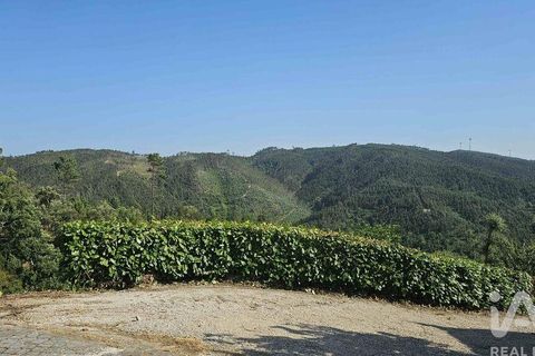 Byhus i Alvaiazere, Leiria, Alvaiazere - € 399.500 | Ref: 879242 - foto 28