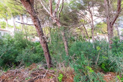 Terra a Son Parc, Menorca, Son Parc - € 175.000 | Ref: T1885 - foto 2