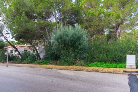 Terra a Son Parc, Menorca, Son Parc - € 175.000 | Ref: T1885 - foto 4