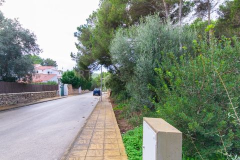 Terra a Son Parc, Menorca, Son Parc - € 175.000 | Ref: T1885 - foto 5