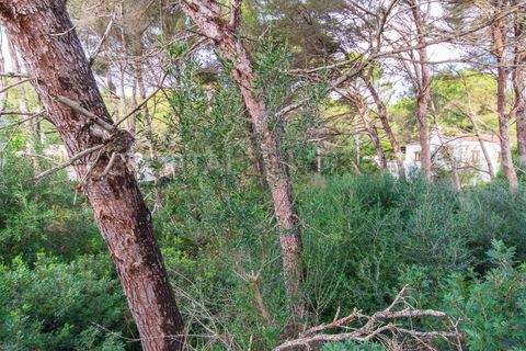 Terra a Son Parc, Menorca, Son Parc - € 175.000 | Ref: T1885 - foto 6