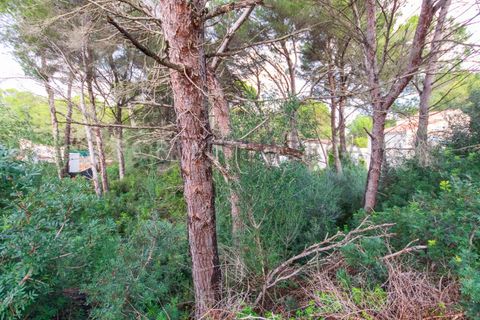 Terra a Son Parc, Menorca, Son Parc - € 175.000 | Ref: T1885 - foto 7