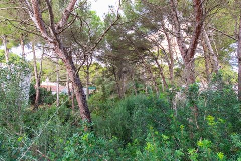 Terra a Son Parc, Menorca, Son Parc - € 175.000 | Ref: T1885 - foto 8
