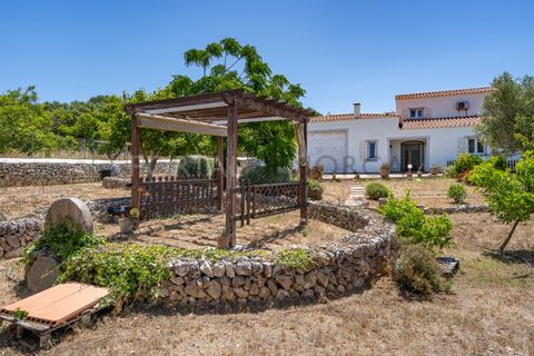 Landejendom i Alaior, Menorca, Alaior - € 875.000 | Ref: T1535 - foto 4