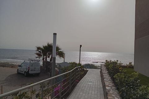 Leilighet i Torrevieja, Alicante, Torrevieja - € 509 000 | Ref: MLSC1202352/13477 - foto 40