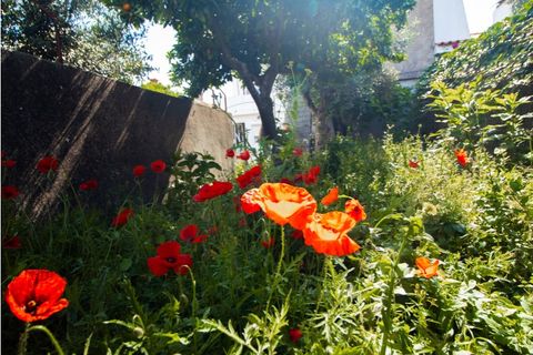 Villa a Crato, Portalegre, Crato - € 139.000 | Ref: FFMJ 6302 - foto 29