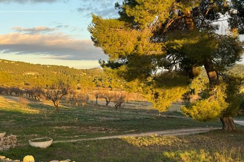 Villa i Alcoy, Alicante, Alcoy - € 2.100.000 | Ref: 20226/12462 - foto 7