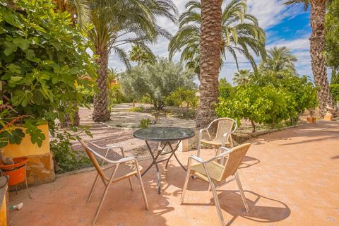Landejendom i Elche, Alicante, Elche - € 340.000 | Ref: NS1790 - foto 10